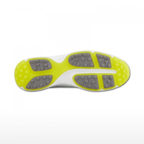 GiÀy Golf NỮ Honma Sr6903 3
